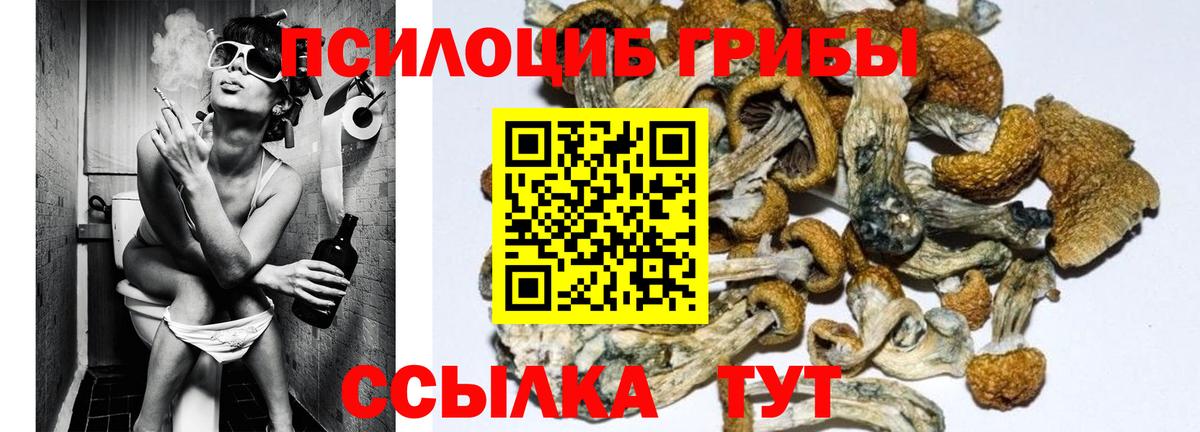 Костомукша  Галлюциногенные грибы Cubensis  Вход с VPN  Псилоцибиновые грибы Magic Shrooms 