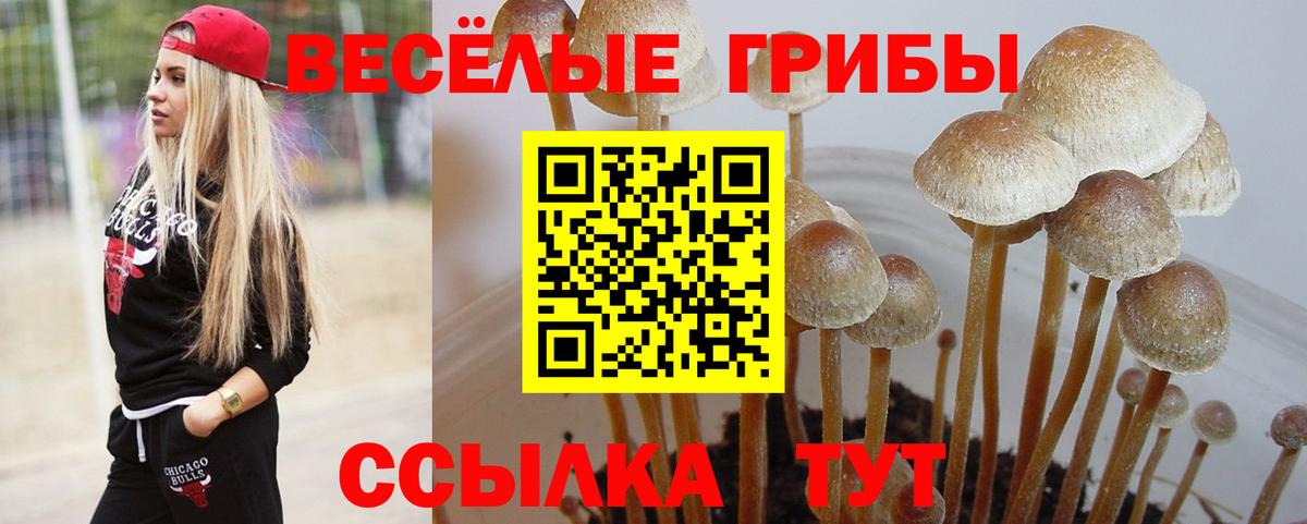 Галлюциногенные грибы GOLDEN TEACHER Костомукша